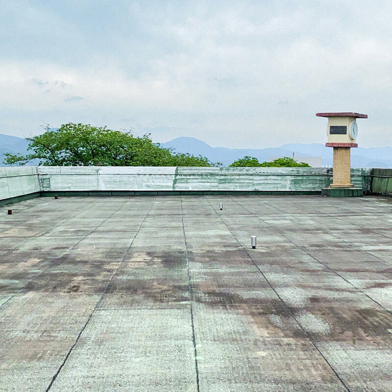 屋上