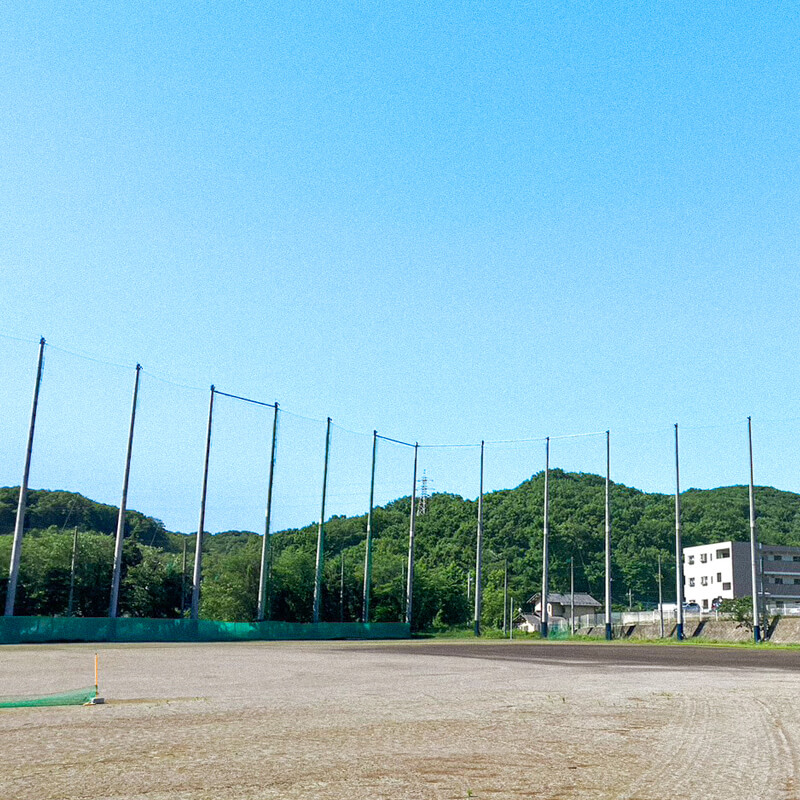 緑に囲まれた環境